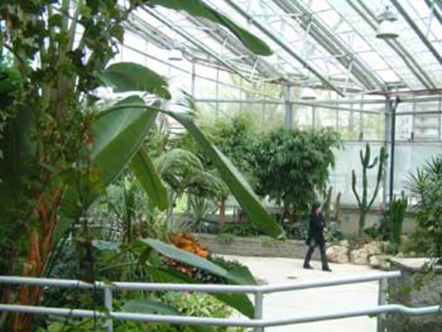 He got a job when he was thireen