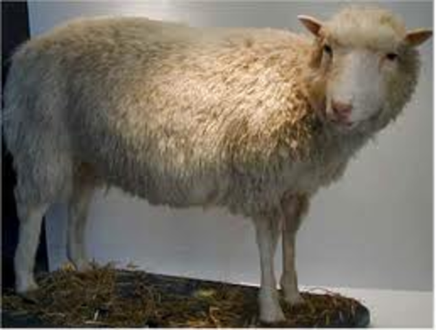 Cloning Sheeps