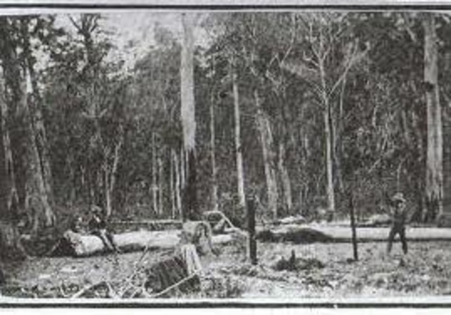 3 police men are shot dead at Stringybark Creek by the Kelly Gang