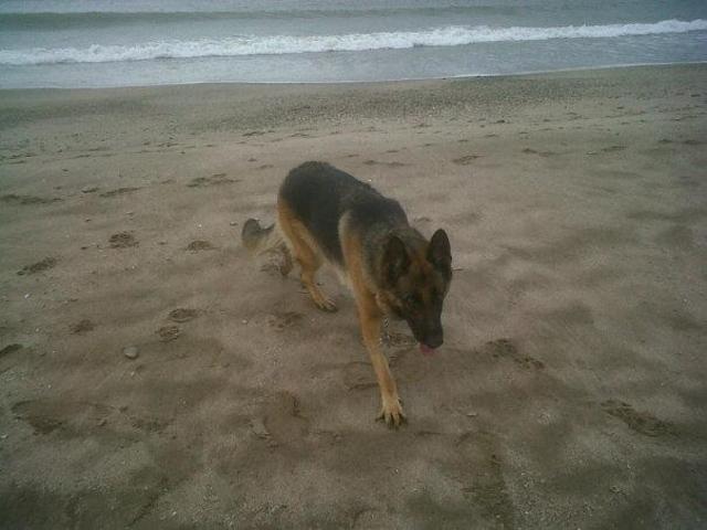Los primeros pasos en la playa de Hera