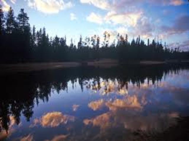 Yellowstone National Park