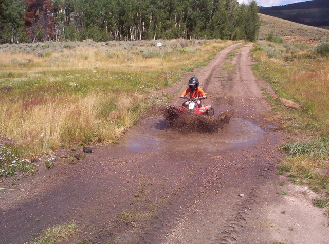 4 weelers are the best