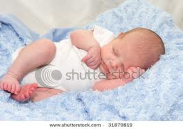 The Day Ryder was Born