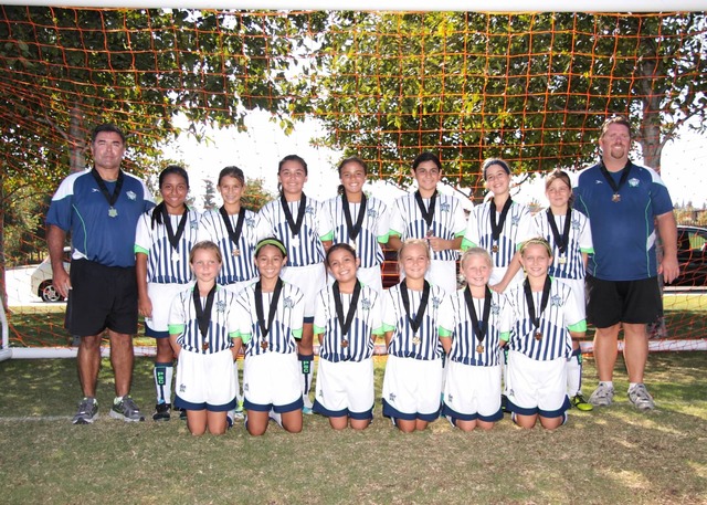 I played my first synenergy game