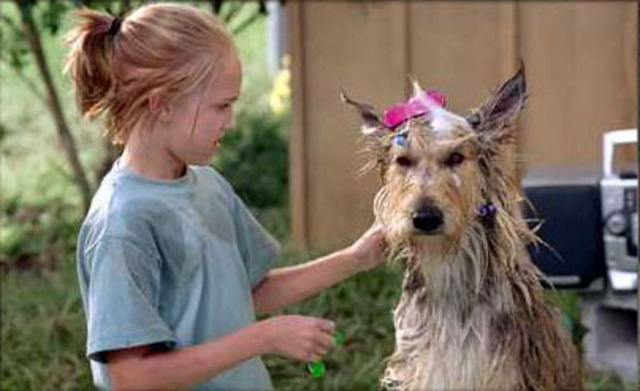 Winn-Dixie's pathological fear