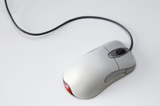 The Computer Mouse
