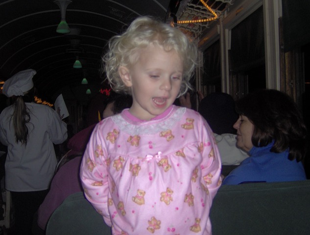 I went to the polar express