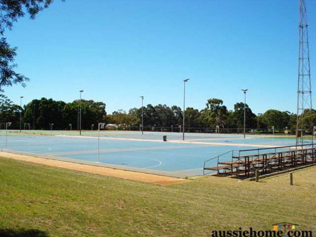 Worked as a netball coach for JohnXXIII College