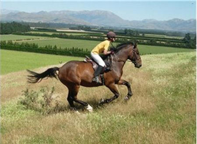 First Time Riding a Horse and Stepped in a Horse''s Dung.