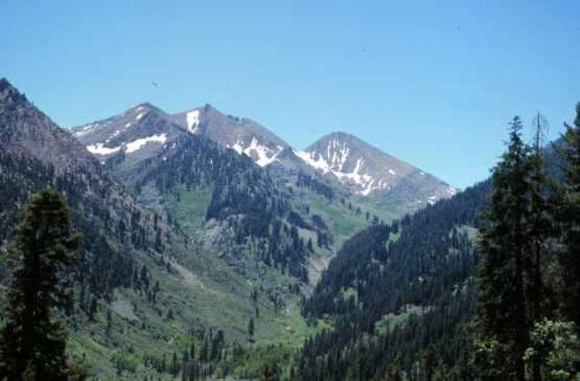 Sierra Club v. Morton