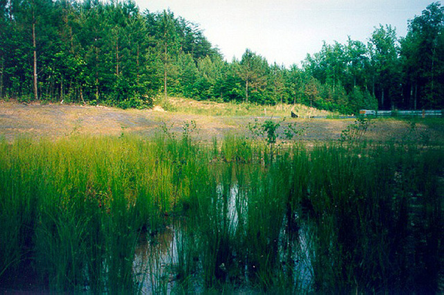 The National Environmental Policy Act was one of the first laws to establish the broad national framework for protecting the environment. The Act demanded that all branches of government give proper consideration to the environment prior to building airpo