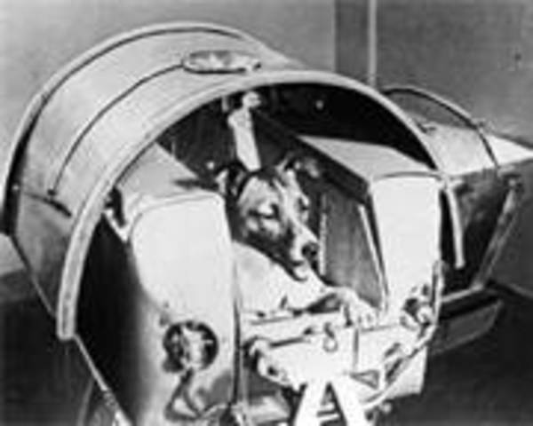 first creature to go to space