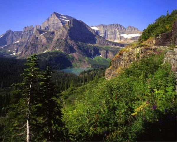 National Park Service Established