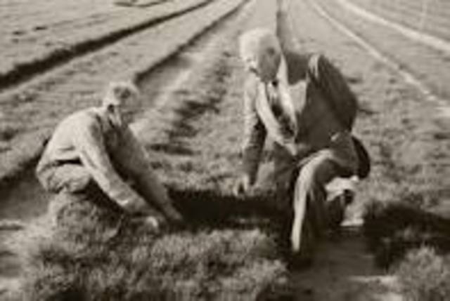 soil conservation service founded