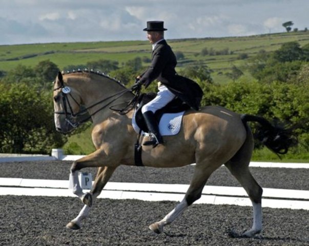 Lee wins gold in Seoul.