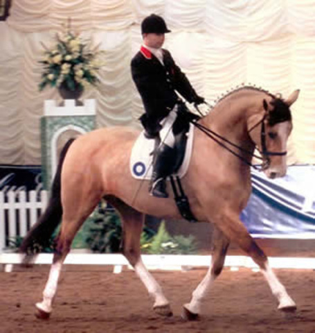 D.O.B of Lee Pearson