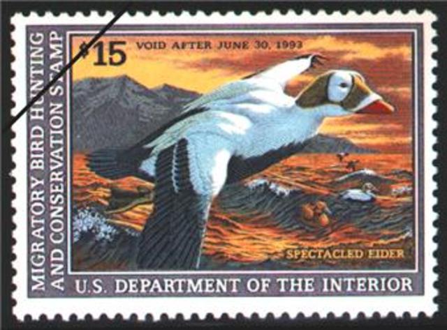 Migratory Bird Hunting Stamp Act