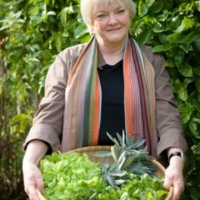 Timeline: Stephine Alexander