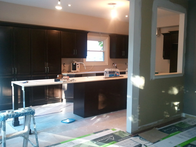 Kitchen Renovation