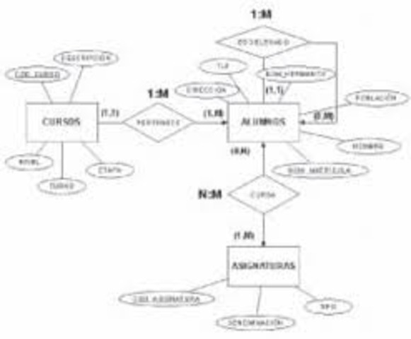 creacion de base de datos compartidos"