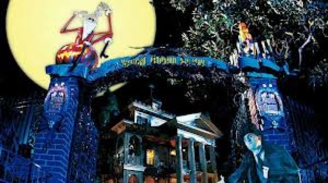 my first disneyland trip