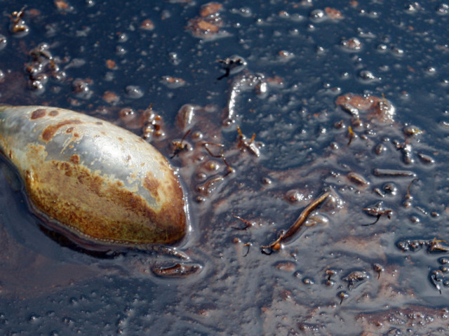 300 gallons of sludge released into a US River.