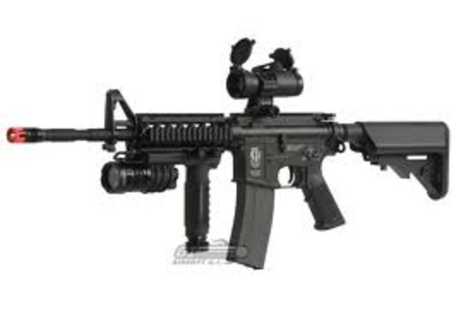 First firearm in Japan