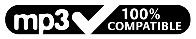 MP3 Becomes A Standard