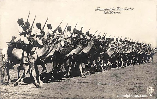 Byzantine Army defeated