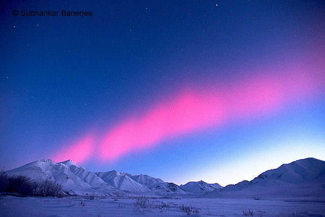 Explores the coast of Alaska