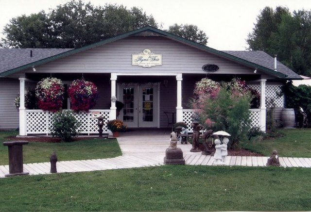 The Day I Got My FIrst Job