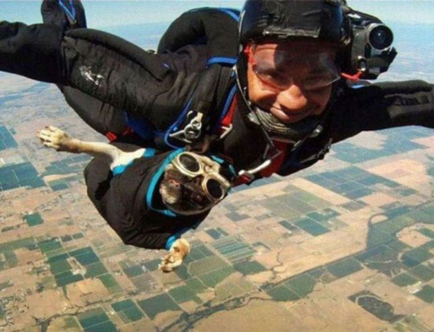sky dive