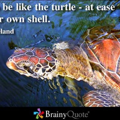 Timeline: My sweet old timeline