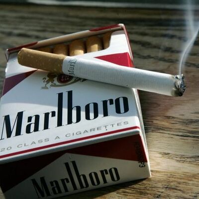 Timeline: las suites ifimaticas " te informaticka"