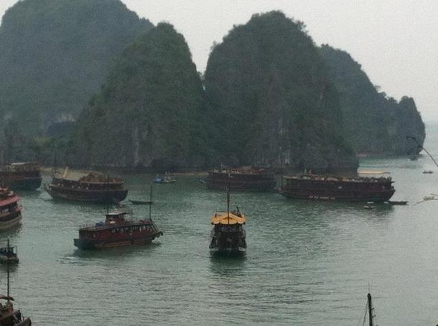 Travelled to Vietnam