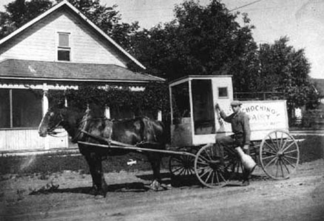 Trades and Department Stores