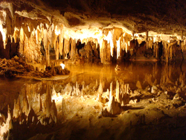 In the spring of 1541, De Soto fell ill and died.