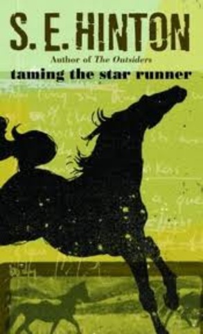 Wrote the book Taming the Star Runner