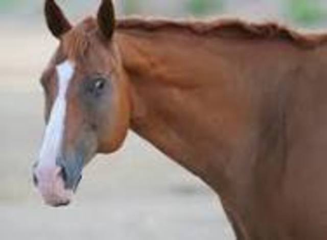 I got riding lessons