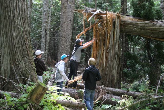 went camping with staffords