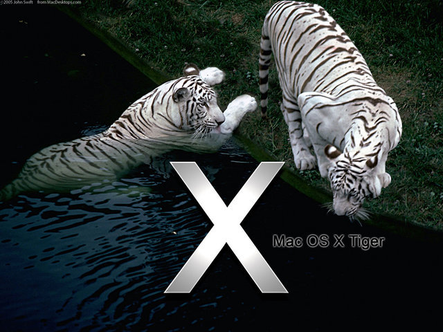 Mac os X Tiger is realesed by Apple
