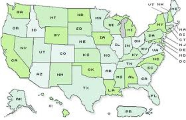 The Great Success of McDonald