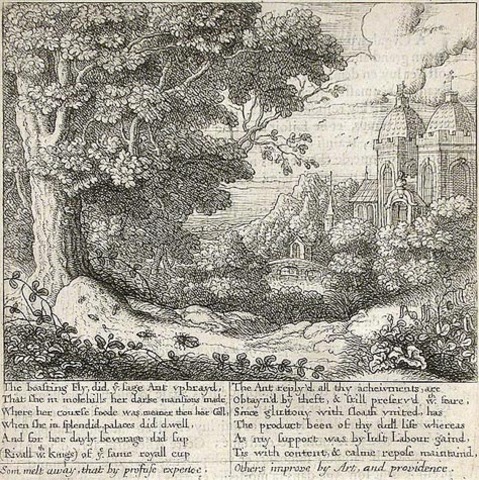 What are some examples of Aesops Fables?