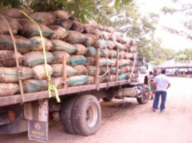 Cemcepto Técnico Seguimiento y Control