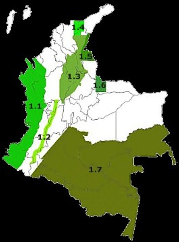 Procuraduría solicita no dar Licencia