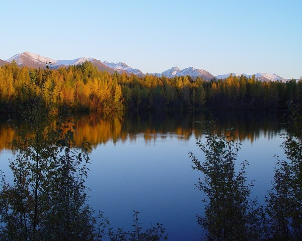 Ready To Return Home