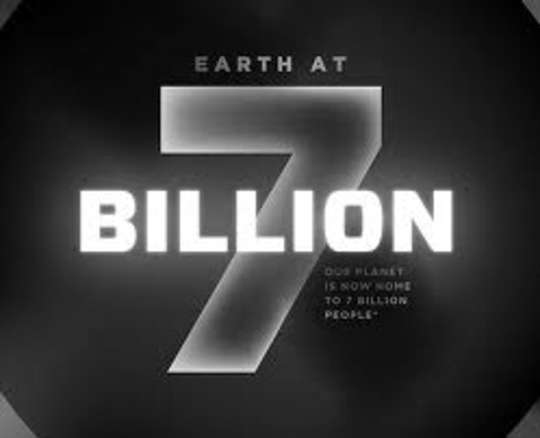 world popullation hits 7 billion