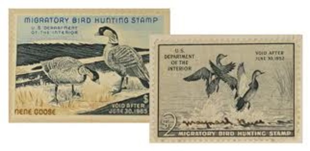migratory bird hunting stamp act
