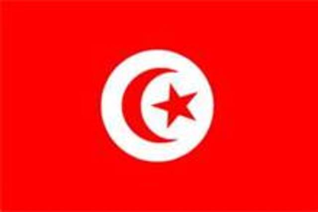 (Jasmine Revolution) Mohamed Bouazizi's Protest (Tunisia)