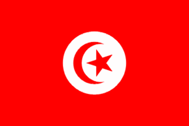 Mohamed Bouazizi's protest